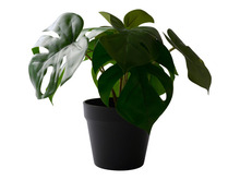 Konstväxt Monstera 26 x 23 cm